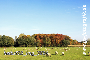 Bild in den Warenkorb legen