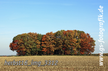 Bild in den Warenkorb legen