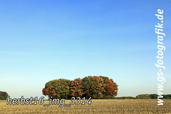 Bild in den Warenkorb legen