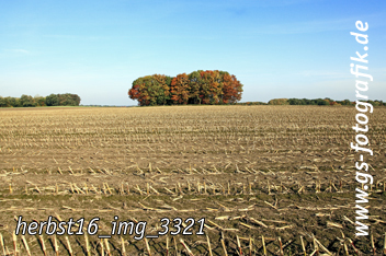 Bild in den Warenkorb legen