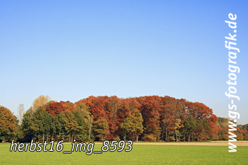 Bild in den Warenkorb legen