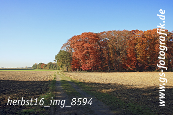 Bild in den Warenkorb legen