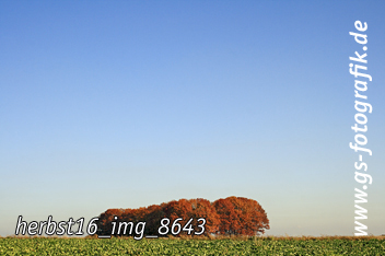 Bild in den Warenkorb legen