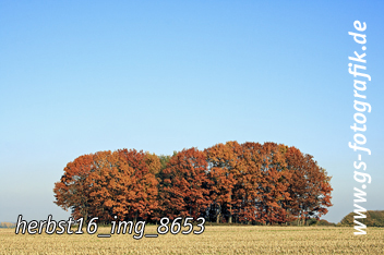 Bild in den Warenkorb legen