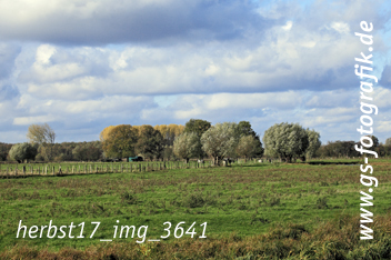 Bild in den Warenkorb legen