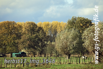 Bild in den Warenkorb legen