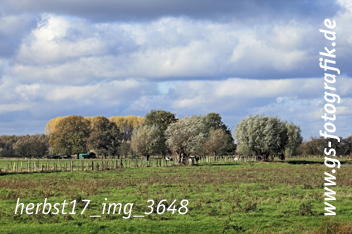 Bild in den Warenkorb legen