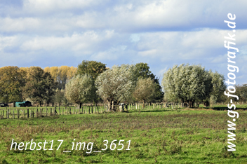 Bild in den Warenkorb legen