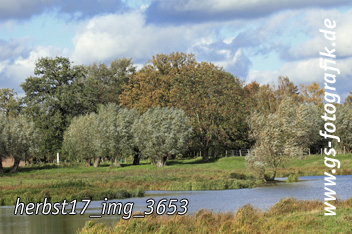 Bild in den Warenkorb legen