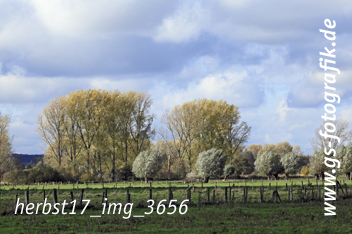 Bild in den Warenkorb legen