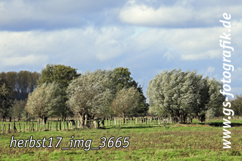 Bild in den Warenkorb legen