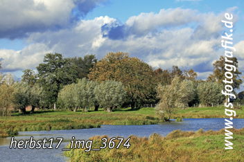 Bild in den Warenkorb legen