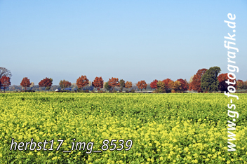 Bild in den Warenkorb legen