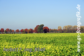 Bild in den Warenkorb legen