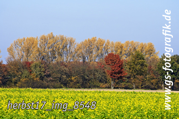 Bild in den Warenkorb legen