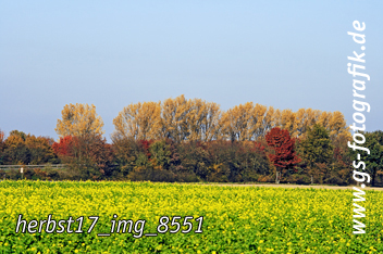 Bild in den Warenkorb legen