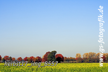 Bild in den Warenkorb legen