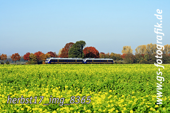 Bild in den Warenkorb legen