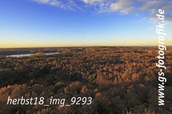 Bild in den Warenkorb legen