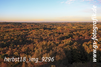 Bild in den Warenkorb legen