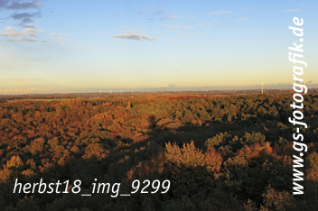 Bild in den Warenkorb legen