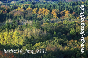 Bild in den Warenkorb legen