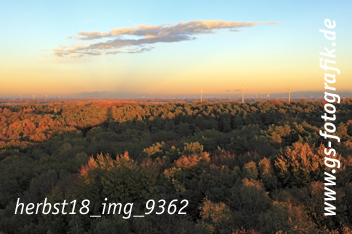 Bild in den Warenkorb legen