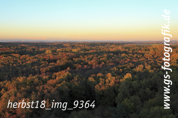 Bild in den Warenkorb legen