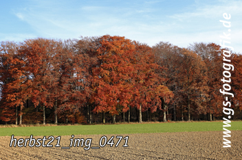 Bild in den Warenkorb legen Bild in den Warenkorb legen