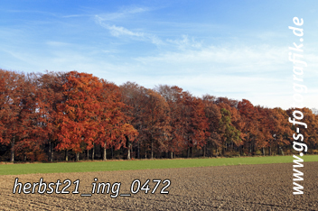 Bild in den Warenkorb legen Bild in den Warenkorb legen