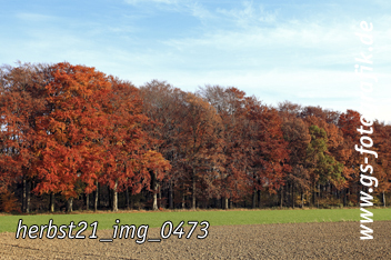 Bild in den Warenkorb legen Bild in den Warenkorb legen