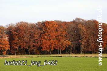 Bild in den Warenkorb legen Bild in den Warenkorb legen