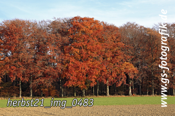 Bild in den Warenkorb legen Bild in den Warenkorb legen