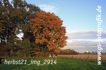 Bild in den Warenkorb legen Bild in den Warenkorb legen