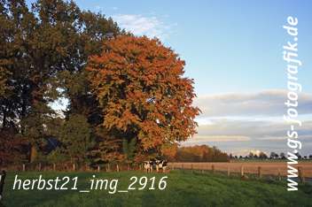 Bild in den Warenkorb legen Bild in den Warenkorb legen