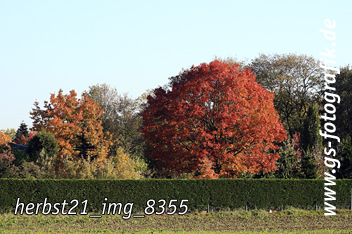 Bild in den Warenkorb legen Bild in den Warenkorb legen