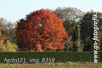 Bild in den Warenkorb legen Bild in den Warenkorb legen