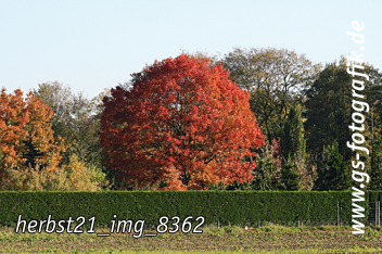 Bild in den Warenkorb legen Bild in den Warenkorb legen