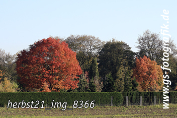 Bild in den Warenkorb legen Bild in den Warenkorb legen