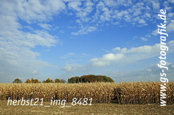 Bild in den Warenkorb legen Bild in den Warenkorb legen