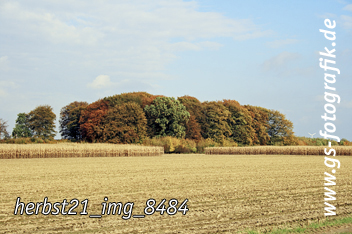 Bild in den Warenkorb legen Bild in den Warenkorb legen