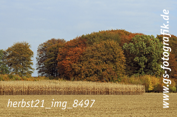 Bild in den Warenkorb legen Bild in den Warenkorb legen