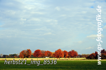 Bild in den Warenkorb legen Bild in den Warenkorb legen