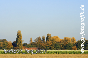 Bild in den Warenkorb legen Bild in den Warenkorb legen