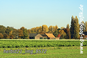 Bild in den Warenkorb legen Bild in den Warenkorb legen