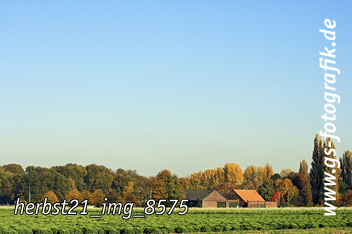 Bild in den Warenkorb legen Bild in den Warenkorb legen