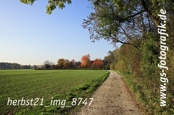 Bild in den Warenkorb legen Bild in den Warenkorb legen