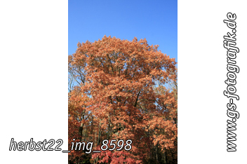 Bild in den Warenkorb legen Bild in den Warenkorb legen