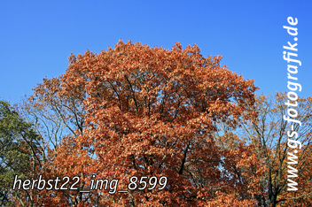 Bild in den Warenkorb legen Bild in den Warenkorb legen