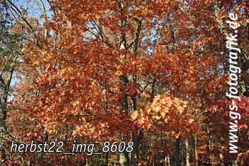 Bild in den Warenkorb legen Bild in den Warenkorb legen